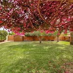 Casa Buganvilla * Sagunto
