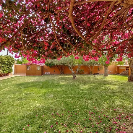 Casa Buganvilla * Sagunto